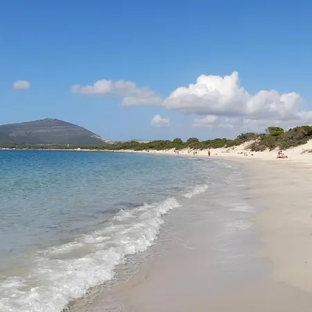 Apartment Alghero, Splendido Mare E Cultura